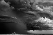 Mitch Dobrowner, Trees-Clouds