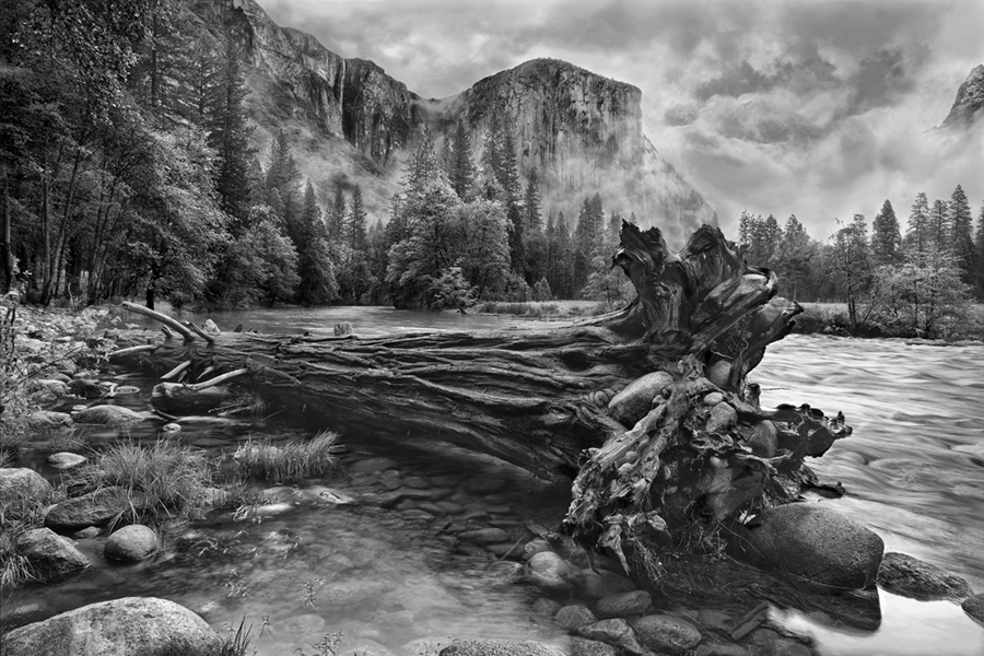 Gerald Hill, Uprooted and Washed Ashore, Yosemite