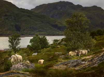 R. J. Kern, Pastoral Study, Norway | Afterimage Gallery