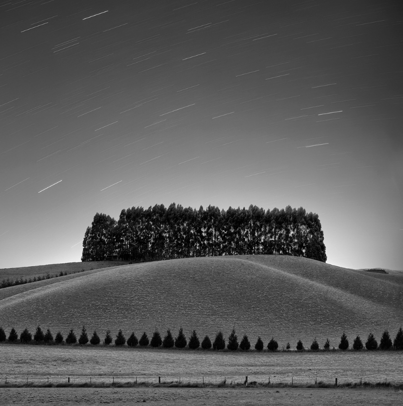 Brian Kosoff, Fence, Field, Trees | Afterimage Gallery