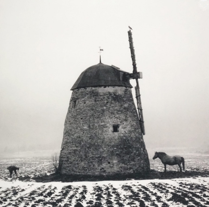 Pennti Sammallahti, Horse and Windmill