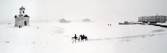 Pennti Sammallahti, Two Horses in Snow
