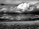 Mitch Dobrowner, Civilization