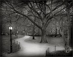 Michael Massaia, Central Park 8