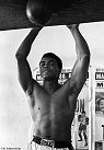Al Satterwhite, Mohammad Ali, Miami Beach