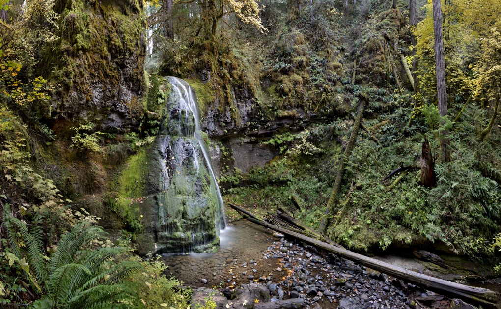 James Baker, Spirit Falls, near Oakridge | Afterimage Gallery