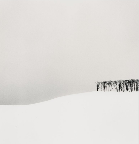 Michael Kenna, Hilltop Trees | Afterimage Gallery