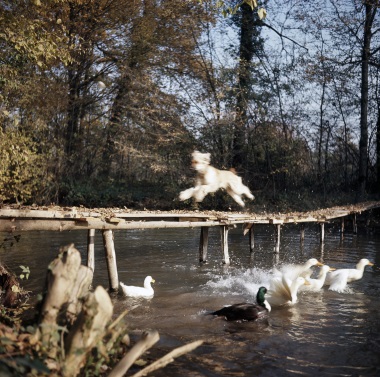 Jacques Henri Lartigue, Loisy