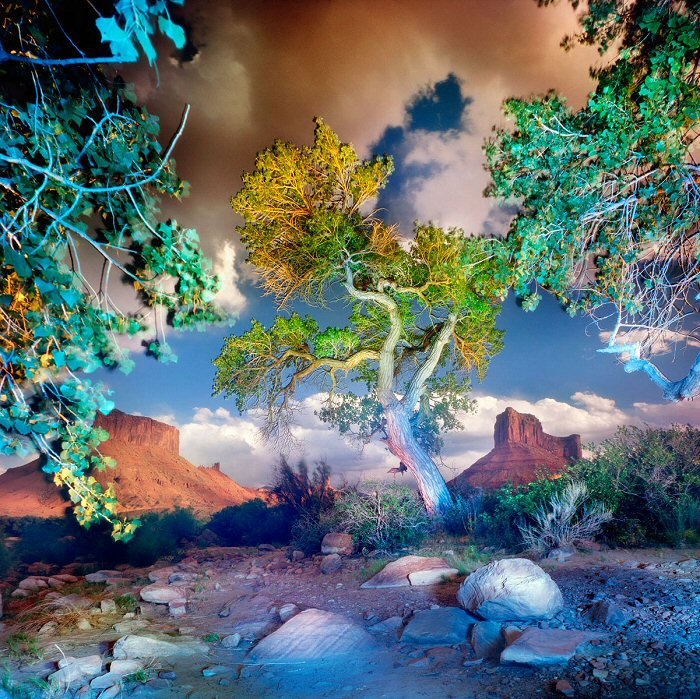 Willi8am Lesch, Cottonwoods and Clouds