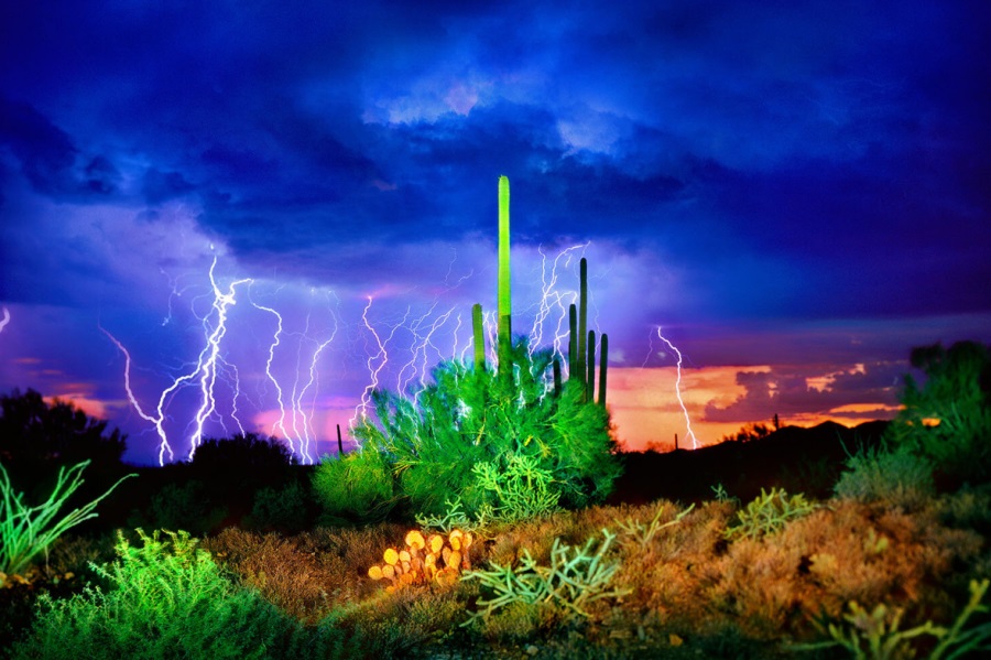 William Lesch, Lightning, Summer Thunderstorm