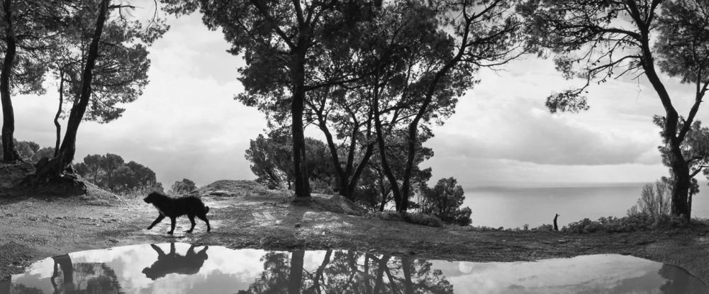 Pennti Sammallahti , Cilento, Italy