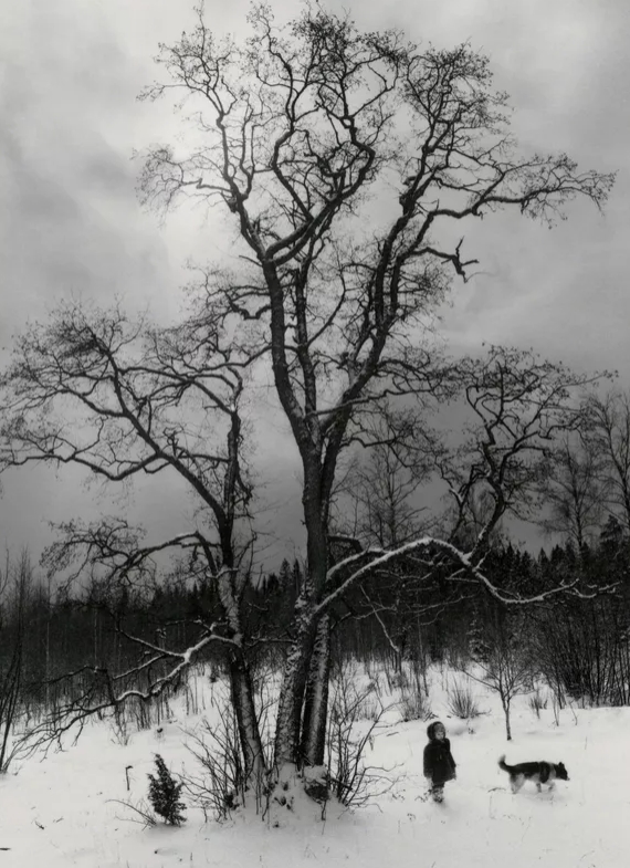 Pennti Sammallahti, Dog and Boy Under Tree