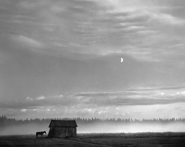 Pennti Sammallahti, Horse and Barn