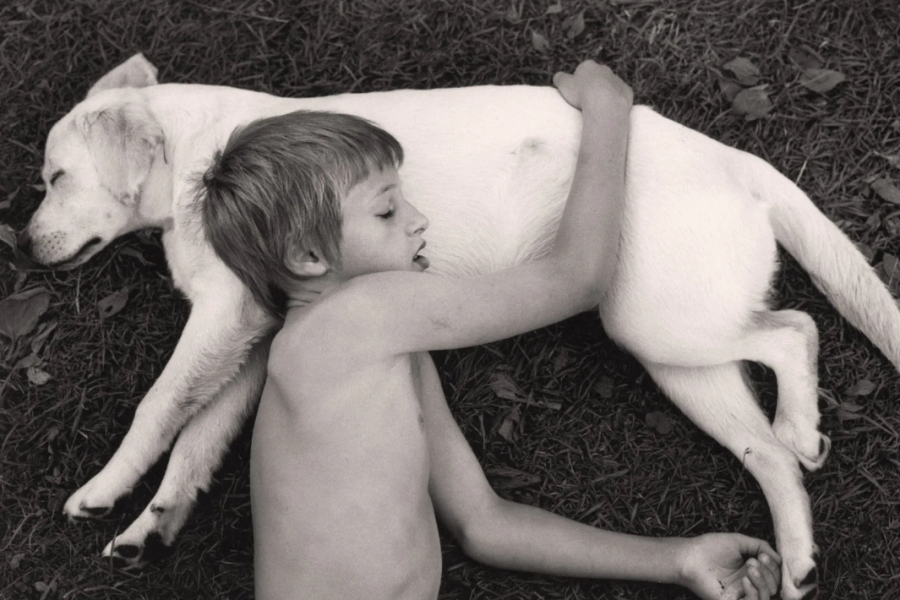 Pennti Sammallahti, Sleeping Boy and Dog