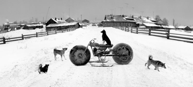 Pentti Sammallahti, Dog on Motorbike