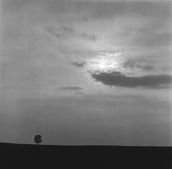 George Tice, Landscape at Sunrise