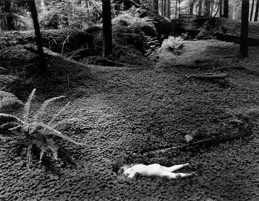 Wynn Bullock, Child in Forest