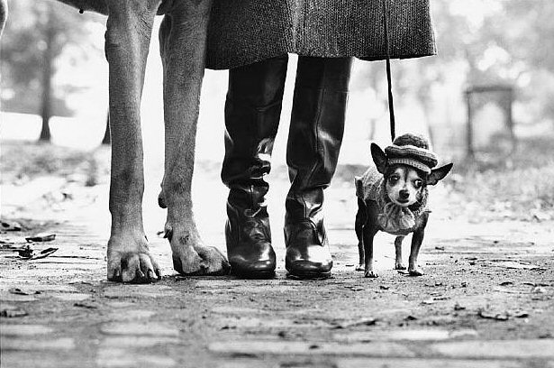 Elliott Erwitt, New York City, 1974