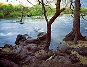 Charles Kruvand, Guadalupe River after a Hail Storm