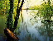 Charles Kruvand, Trinity River at Flood Stage